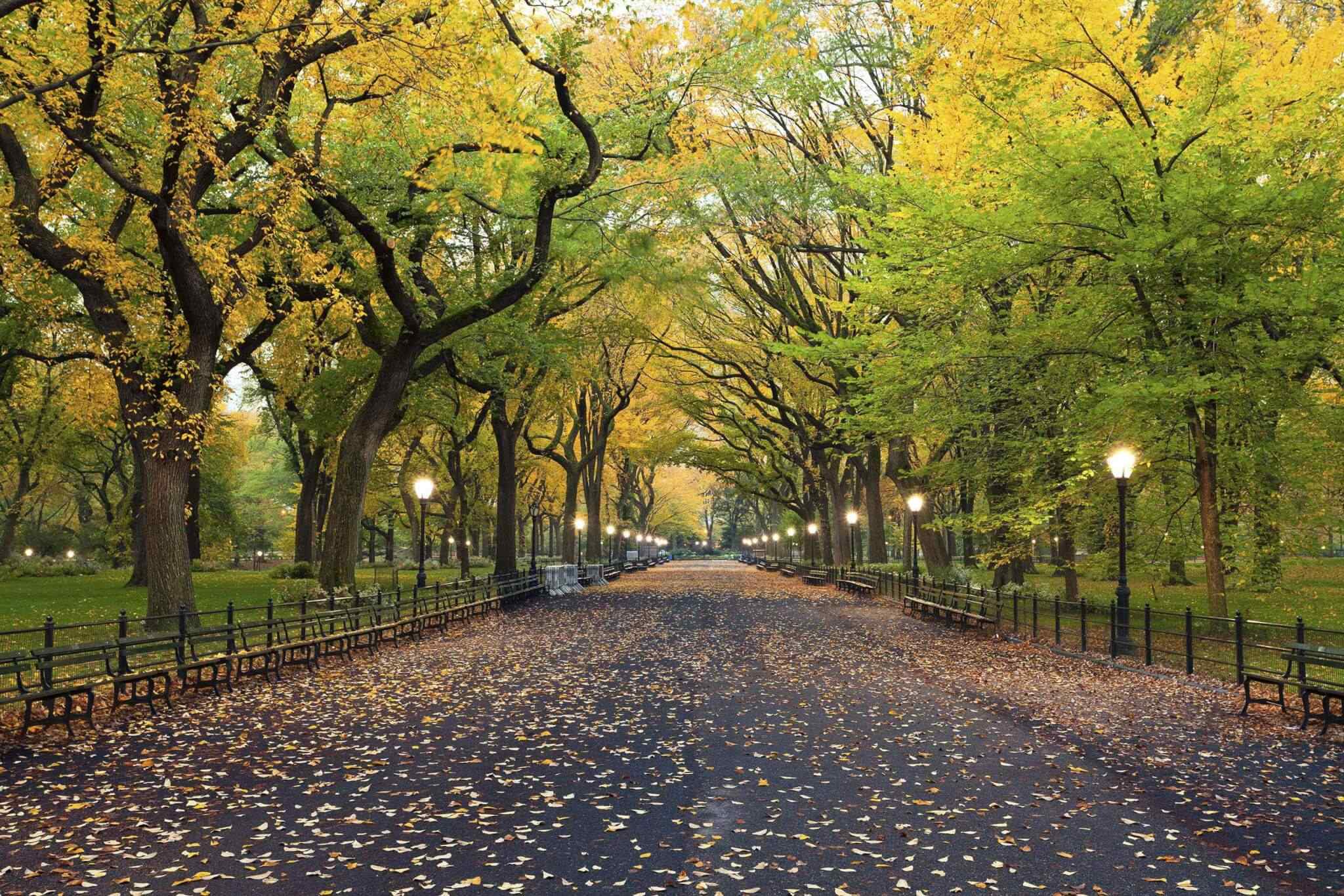https://dev.onebalitour.com/wp-content/uploads/2018/09/destination-new-york-02.jpg