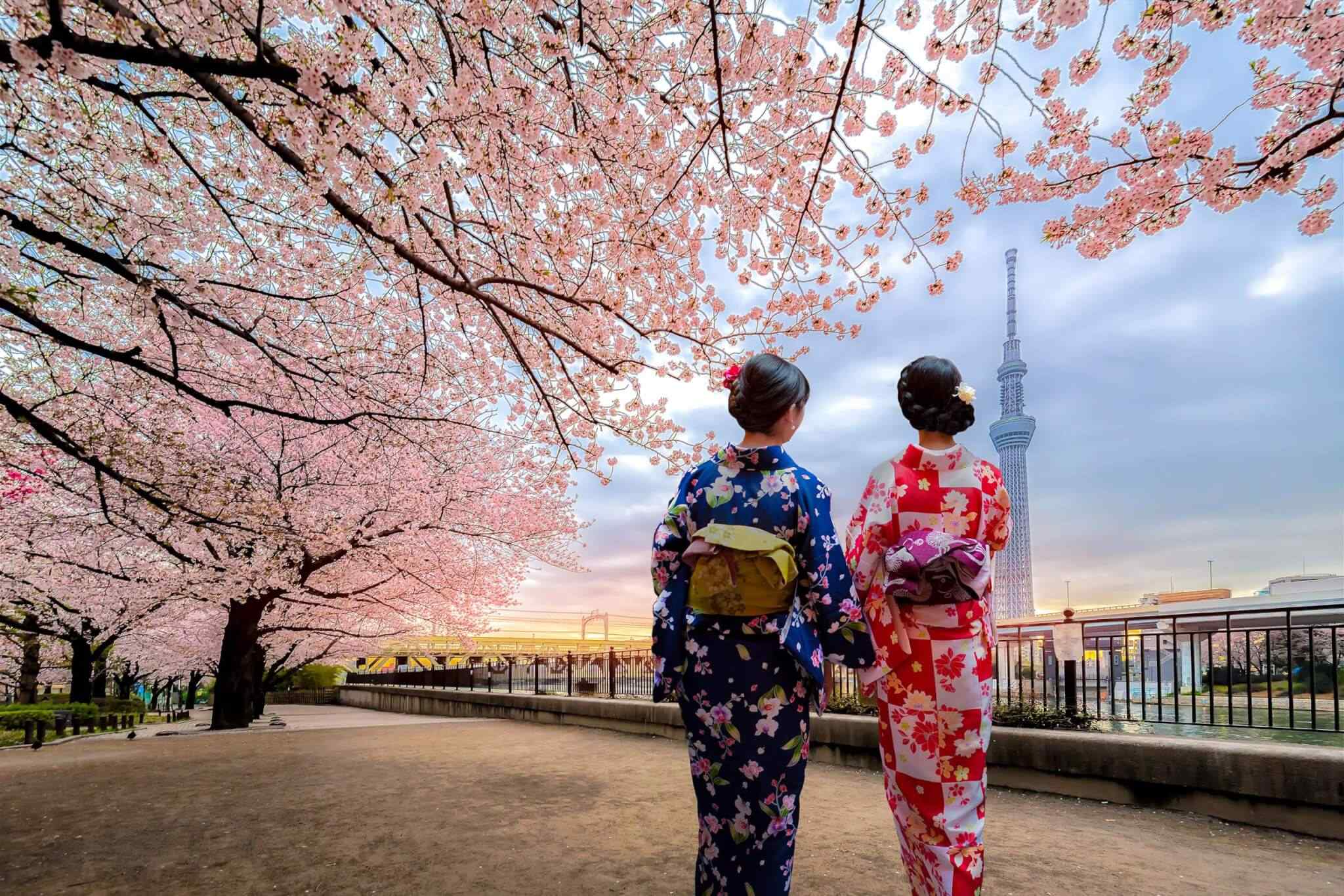 https://dev.onebalitour.com/wp-content/uploads/2018/09/destination-tokyo-03.jpg