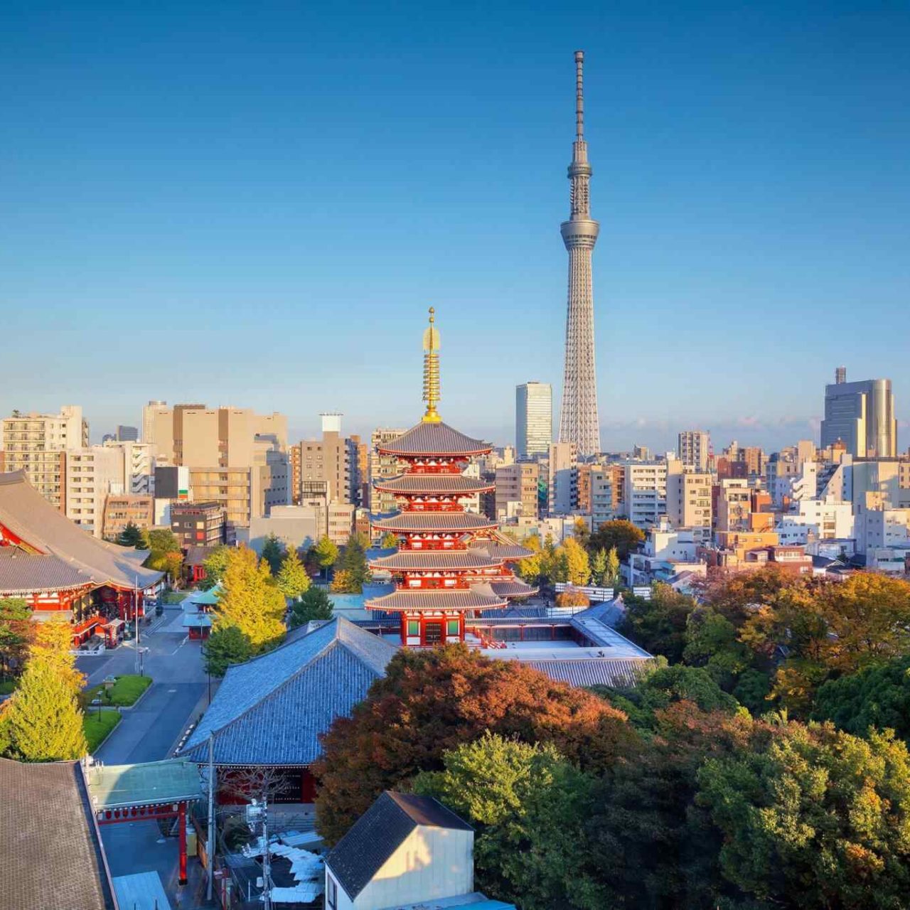 https://dev.onebalitour.com/wp-content/uploads/2018/09/destination-tokyo-04-1280x1280.jpg