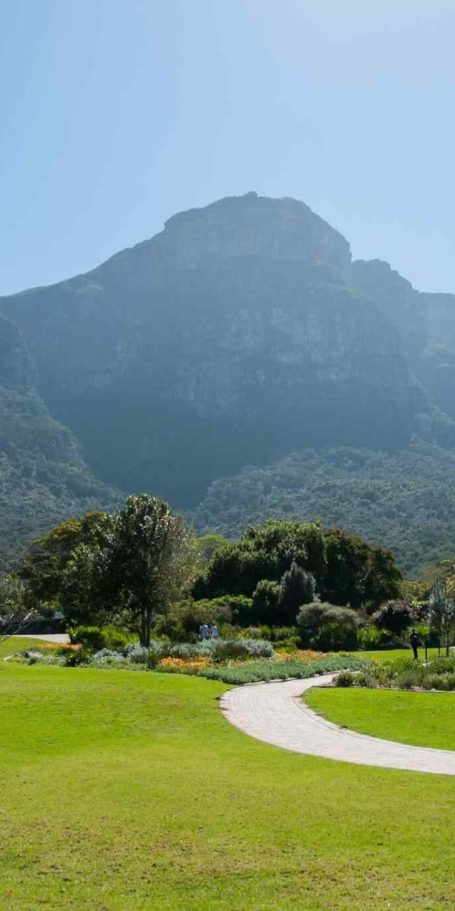 https://dev.onebalitour.com/wp-content/uploads/2018/09/tour-capetown-03-640x1280.jpg